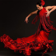 flamenco